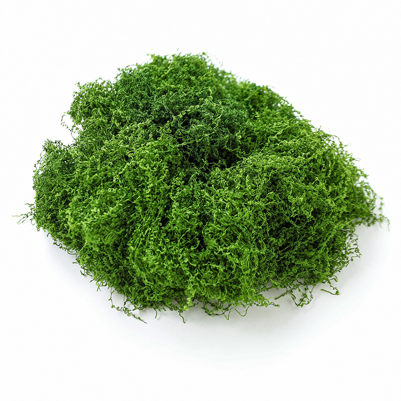 Simulación de musgo artificial de fibra de tela de peluche Micropisaje Disposición ornamental Césped bonsai maceta decoración paisajística