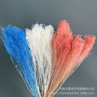 ľ�M�����������ɻ��滨����diy���ϻ�c�Ҿ��b廨�Ĕz����