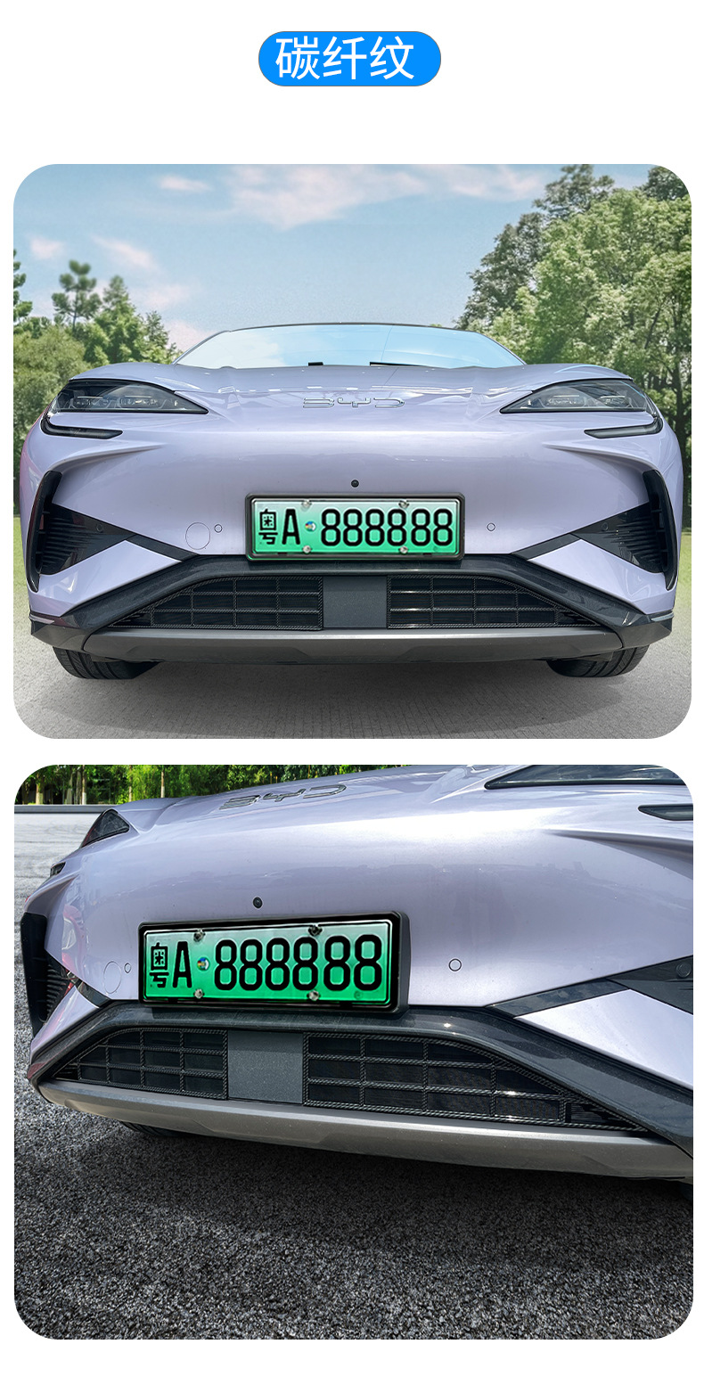 Suitable for sea lion 07ev extended range version car insect net front face net special modified decorative strip car supplies