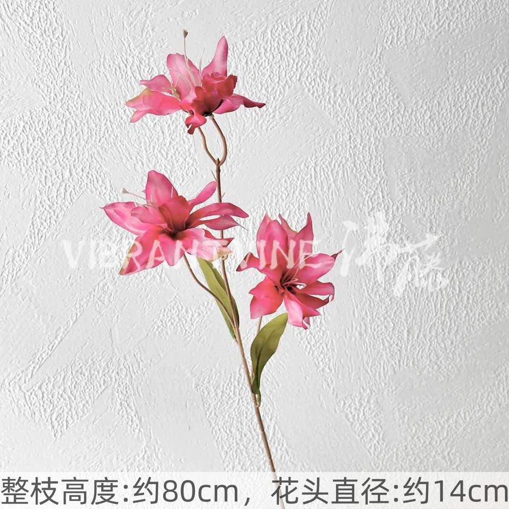 Rose red 3-headed lily