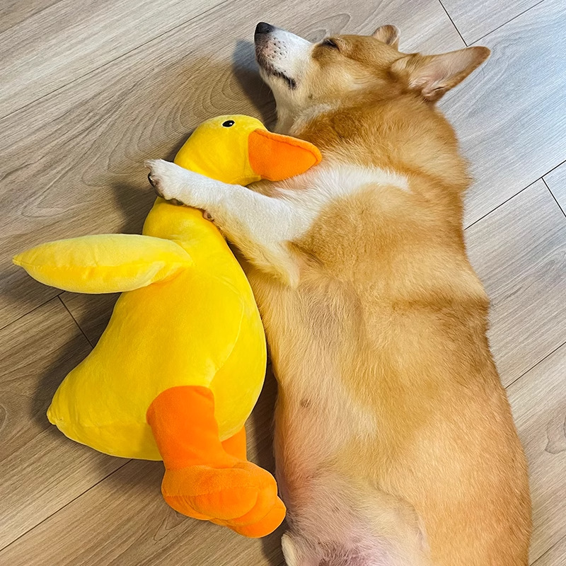 Pato amarillo, perro, papel vocal, juguete, artefacto para aliviar el aburrimiento, cachorro, cachorro, molar, bichón, mascota Corgi, pato dormido