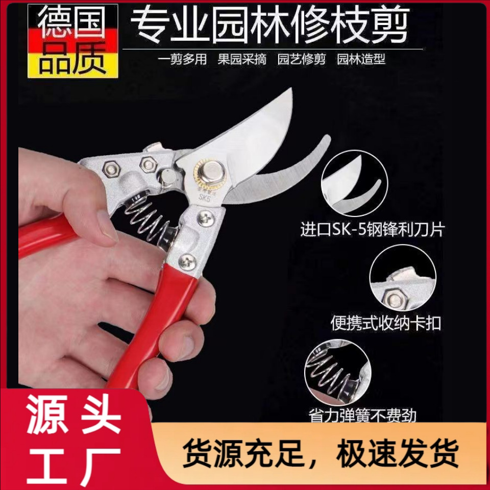 花剪枝园艺剪刀修枝剪省力修剪树枝果树竹签园林花卉专用花艺剪子