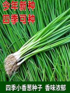 �ļ�С���[�N�Ӽt�[�N�������[�^�N���̨ͥԺ�Nֲ����[�߲˷N��