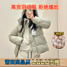 lulu�����q�������q�ɲ�ñ�Ӻ�ů�̿�Ů���������＃ԭ�����