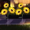 Solar 3 heads sunflower