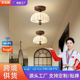 风扇灯;吊灯;吊扇