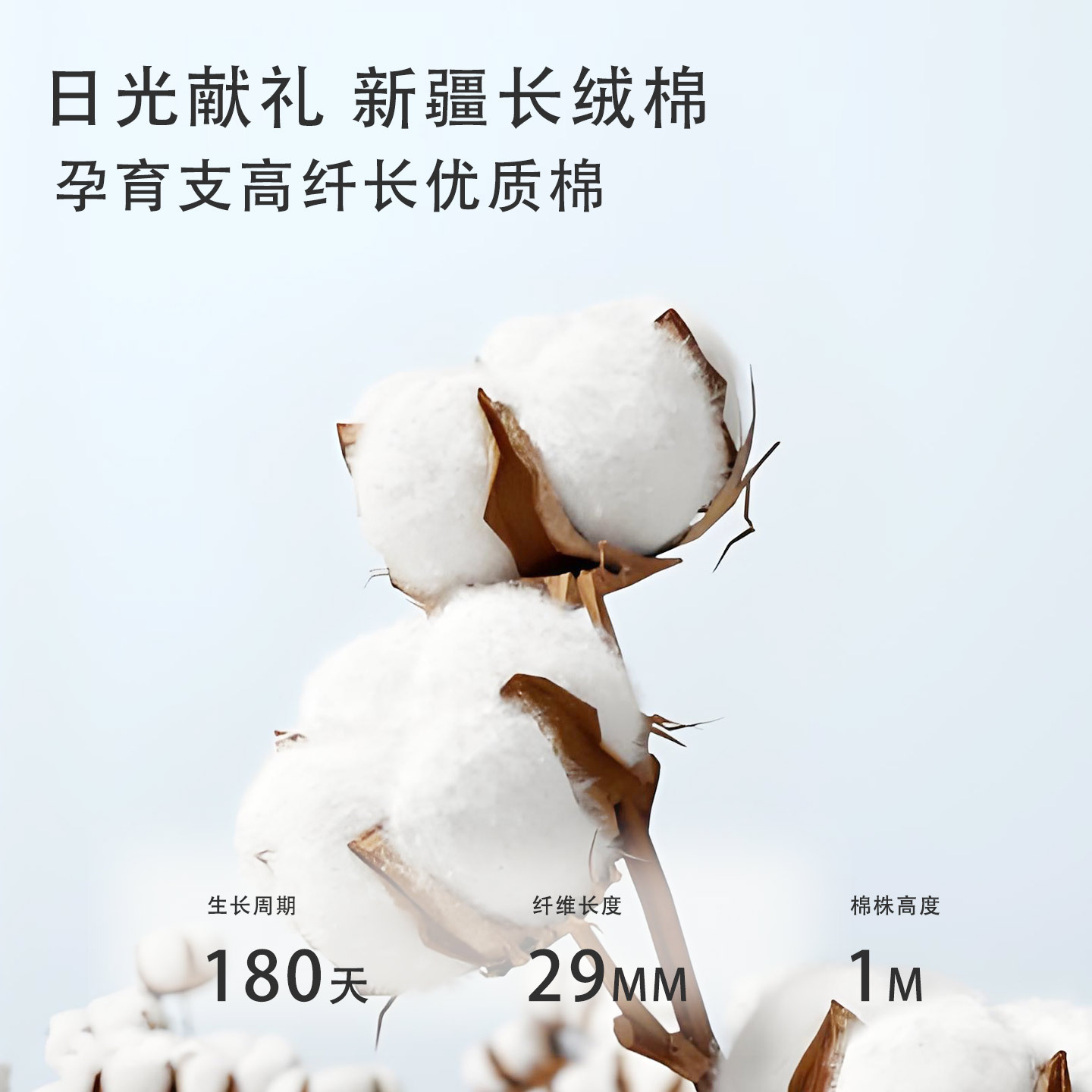 婴儿连体衣a类新款夏季宝宝薄款透气超薄短袖哈衣安阳童装批发