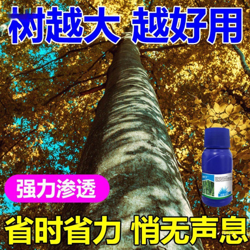 四季通用の荒涼とした喬木のつるの木の雑多な針が倒れて荒涼としています。|undefined