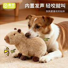 �������ˮ��ë�q��ż�����q��ҧ���˽␞������ҧ�l�������