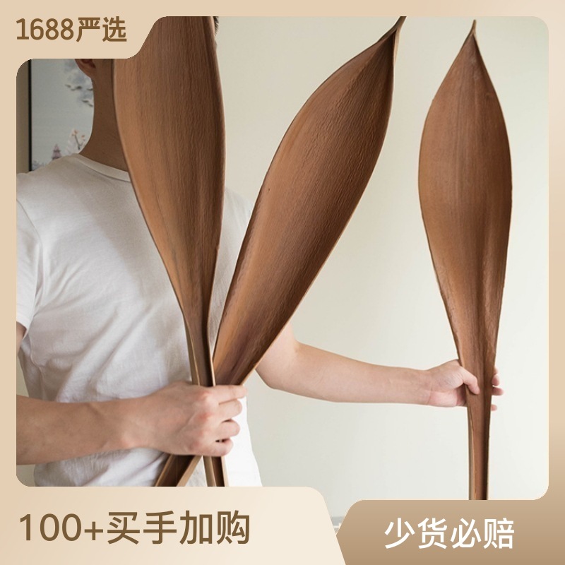 可可叶进口北欧风玄关餐厅民宿酒店咖啡店工作室摆件植物木装饰