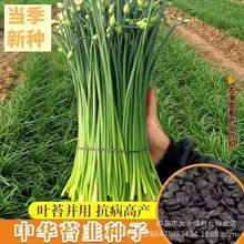 ļƷ̦·NӾ²̦Nу|߮aͺ͟Όļ߲˷N