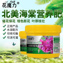 �������Č��àI�B�����Խk�����İ���ѩ������ӡ�ڰ������ļ��÷�