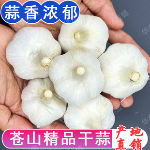 25�������nɽ�¸ɰ�Ƥ��������Ʒ�N�����r���ԷN�����^���|���l�r