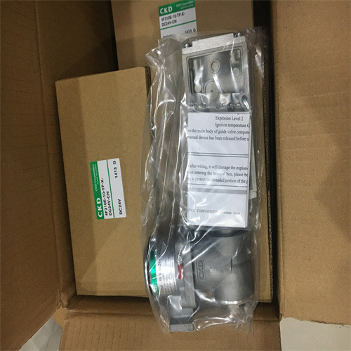 4F310E-10-TP-X-DC24V-CN