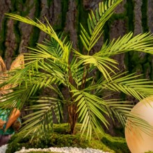 �������ާ��ֲ������҃ȿ͏d�Gֲ���Ծ�ֲ����ۼҾ��b[��