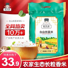 �z����һ��һ��̨ɽ�V�|��ճ5�L���r�Ҵ���10��������lȺľ