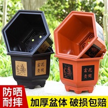 �Ӻ��������ϻ������ͥԺ�҃���Nֲ��ˤ�͕����̖�ɷN�佁��