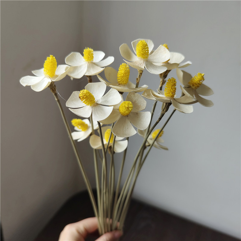 Dried violet flowers Yunnan dried flowers Phalaenopsis ins wedding home decoration simulated flowers diy flower arrangement materials
