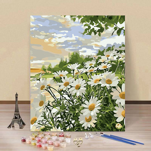 �n������DIY�����ͮ�