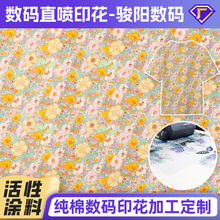 全棉布料高清数码直喷印花加工 各种花型莫代尔尼龙活性数码印花