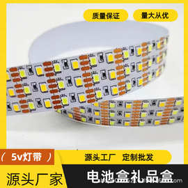5V双色单色灯带白光暖光中性光红绿蓝色玩具小夜灯工艺品灯带