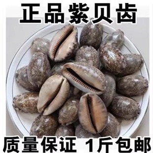 ��ș����ؐ�X ��ؐ ��ؐ ��ؐ�� �������X ��֧��500�˰��]