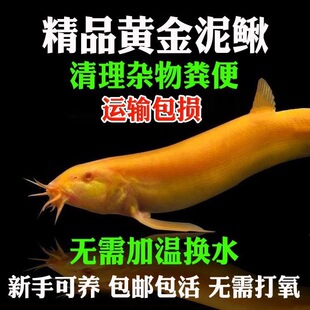 �~�^�p�~���q�����坍���ͻ��������w�~�����ˮ�匙����B