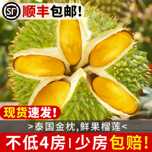 ����̩���M�ڽ�����ɏ��S���]���rһ�����������䮔��ˮ��������