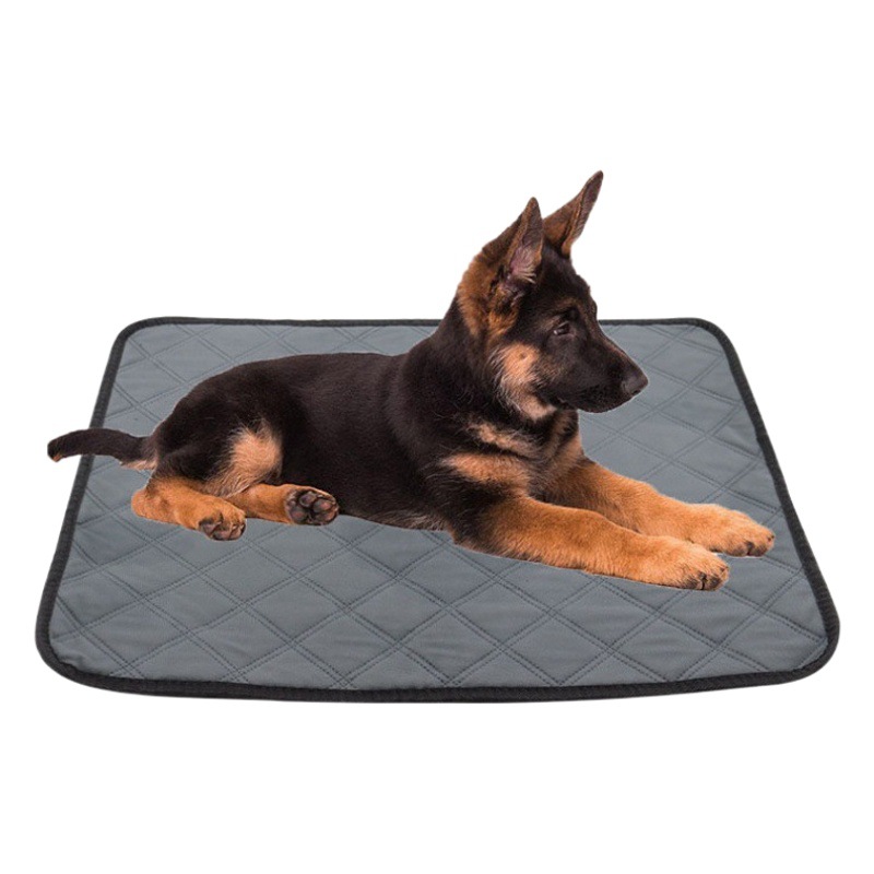 Absorbent reusable washable dog cat hamster diaper pad pet diaper training pad