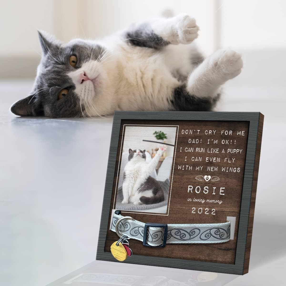 Marco DE FOTOS conmemorativo para mascotas de madera puede contener collar Mesa tridimensional marco de fotos para mascotas regalo perdido para mascotas de madera