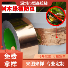 �羳�����΁ţ�z����ճɢ��늴����ξGֲ���x�z�����p���~���z��