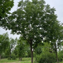 |ͺ ˮ ΗUˮľ ˮ @־GL