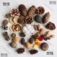 ɹֹdiyľξƵꄓ֧֦lƹܛb˱