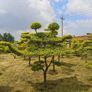���~�����͘䣬���~����������  ���~����  �t�~������ ���~��