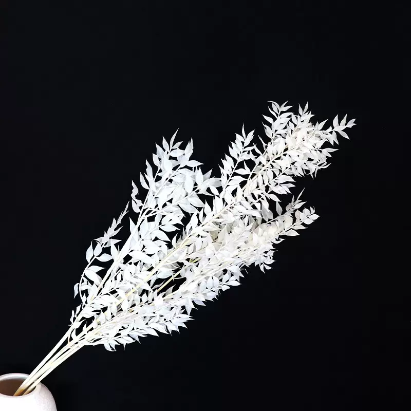 漂白富贵叶永生花干花diy材料 婚礼花艺拍照道具工厂批发