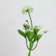 ����ֲ������ˮ���ѹ�Ӣ�辰����ٗl���h�٘�@���b�Ʒ�����辰