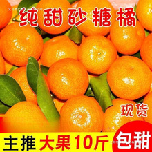 ɰ���ُV�����ﱡƤ�������r�ЋDˮ���������l���]����վ���uͨ