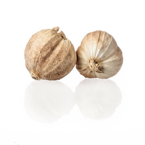 Bulk Selected White Cardamom  New Arrival Fully Dried Sulfur-Free Original White Cardamom Round Cardamom for Braised Pork Spices