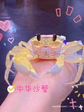 ɳз���ȿɐ�ˮ���^�pз�������Aɳз�з����ľ�з����зС�з