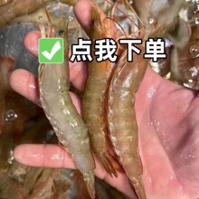 �����������rɳ�R�r�r���ك����r�ش�����r������r�������r���r