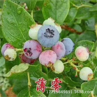 �{�S�{ݮ�����ϱ����ļ��̨ˮ����NֲͥԺ���N������箔��Y��