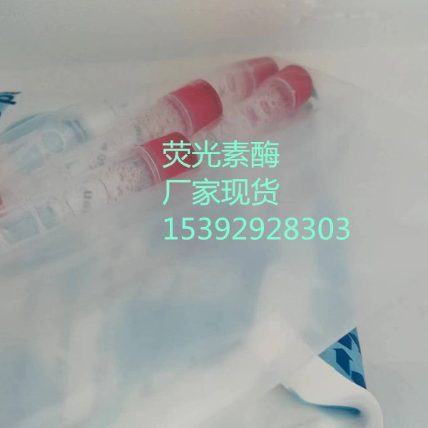 荧光素酶9014-00-0 来源于萤火虫 试剂级大包装批发