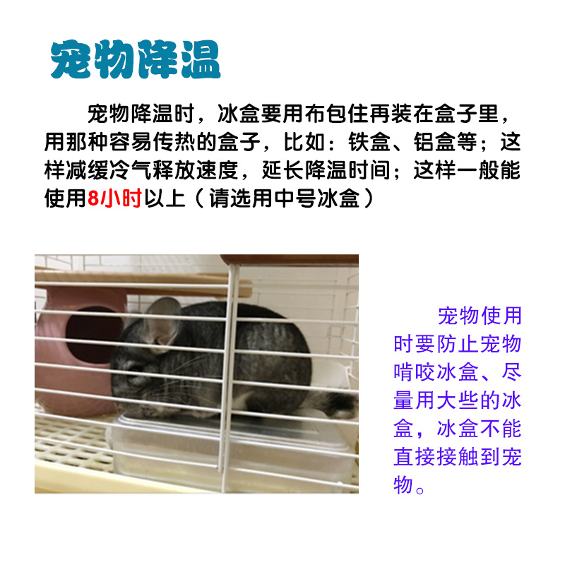 宠物降温20210809.jpg