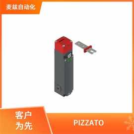 VF CBSM12DS07  PIZZATO 意大利 信号开关 系列直供