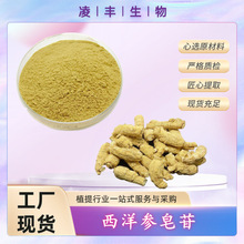 西洋参提取物80% 西洋参粉 西洋参皂甙 工厂现货销售 量大优惠