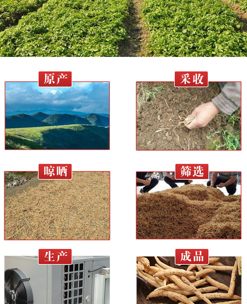 Tai Zi Shen 500g (Pseudostellaria heterophylla) — Guizhou Dried Food Herb, Grade 1 quality and texture