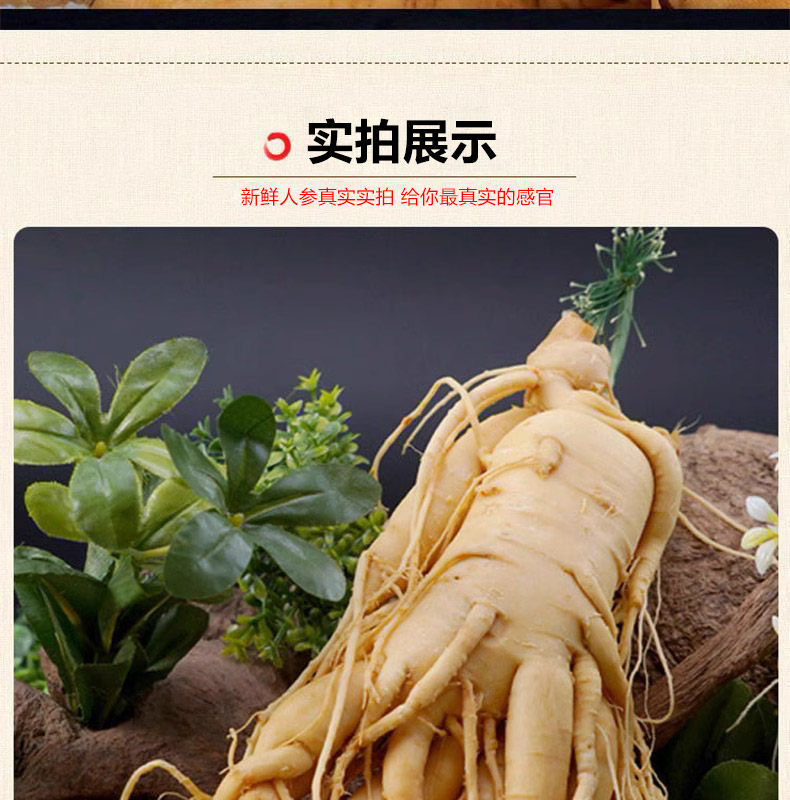 Ginseng Root Ren Shen 长白山人参 Whole Dried Root for Wine Infusion and Cooking 100g specifications