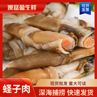 �_���|��10kg����|���⺣�r���|���|���r��������}�������r��