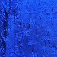 ½zcỨ wֲﻨɫỨ UЕrb SF