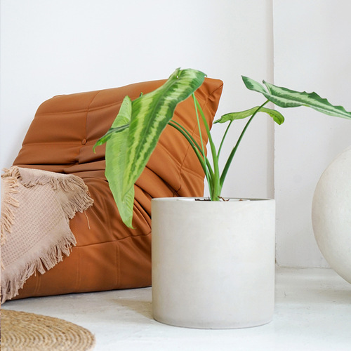 Creative personality cement floor-standing flowerpot large round breathable Nordic simple living room home tree planting pot